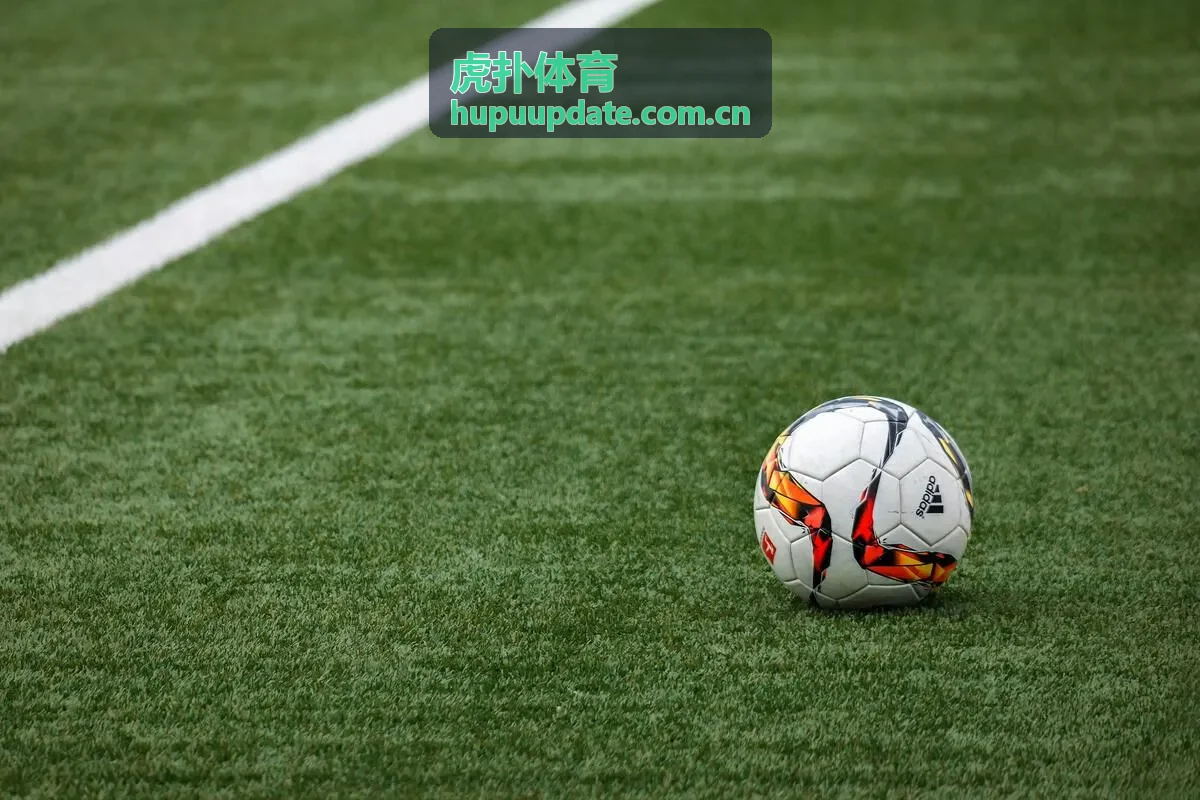 虎扑体育分析师王编辑